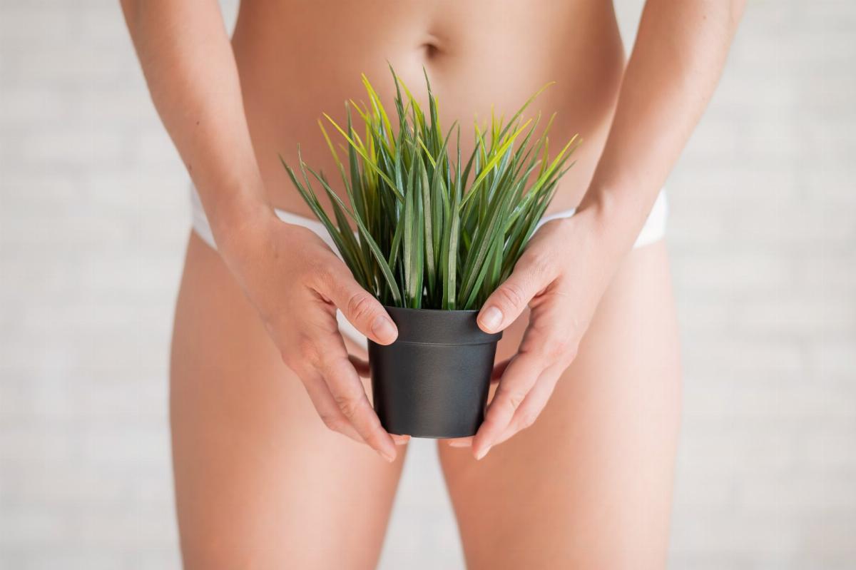 Best Brazilian Wax in Tampa bay